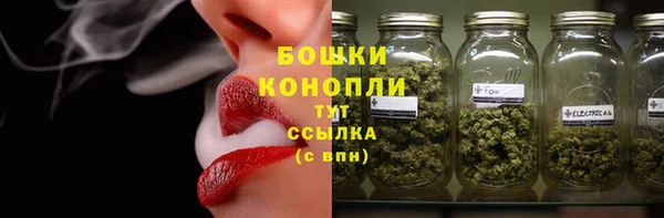 хмурый Инсар