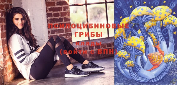 ГАЛЛЮЦИНОГЕННЫЕ ГРИБЫ Каменногорск