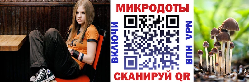 что такое   Мещовск  Псилоцибиновые грибы Psilocybe 